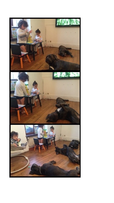 Arkan's Dog - Petit moment entre mes chiennes et les fils
