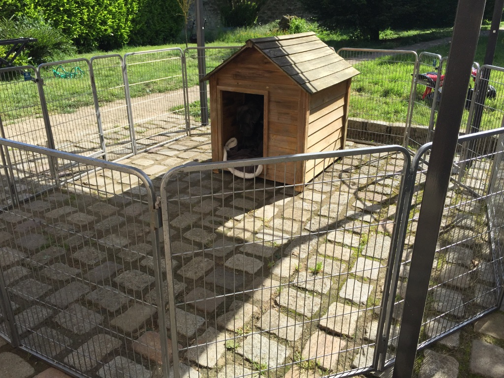 Arkan's Dog - Premiere journee dehors