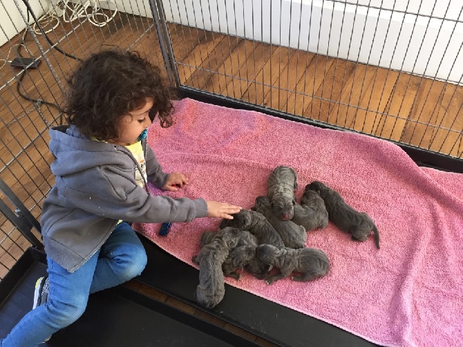 Arkan's Dog - Le plus heureux c est mon fils !!!!