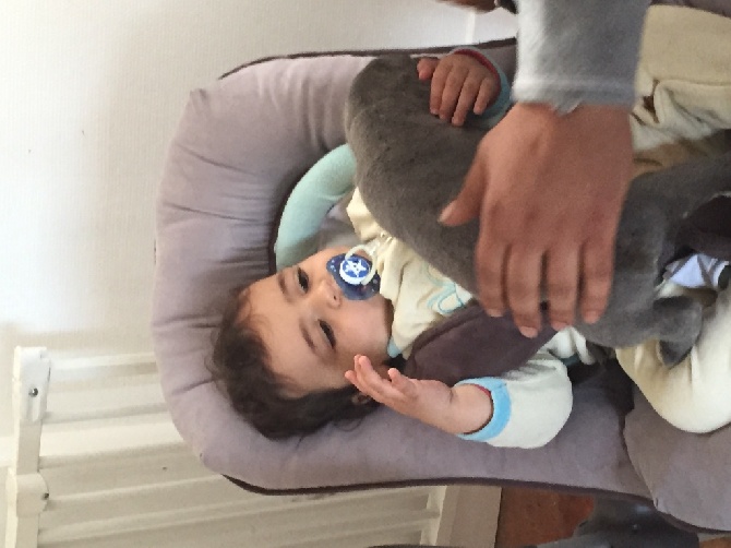 Arkan's Dog - Mon fils de un an découvre lui aussi ce qu est un chiot