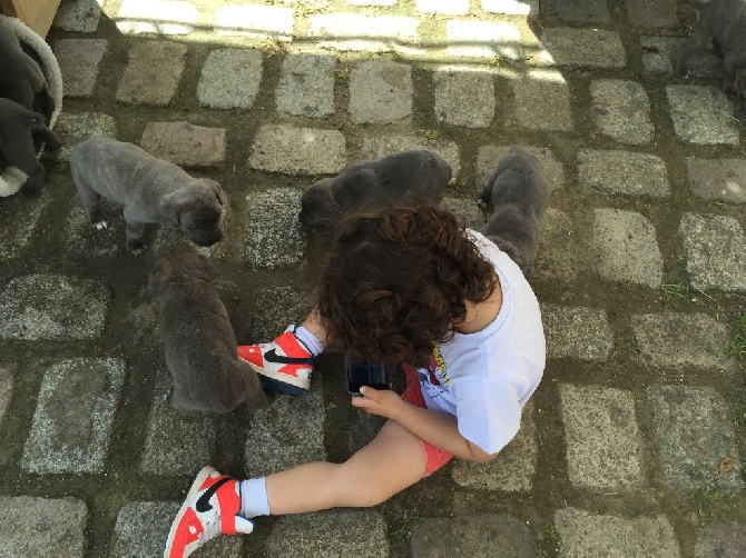Arkan's Dog - Mon s est installé dans le parc