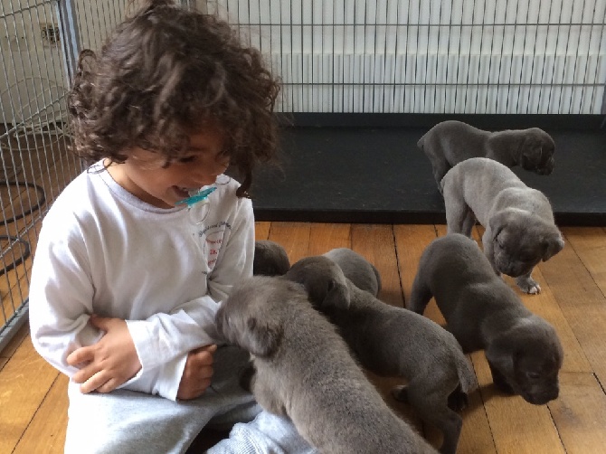 Arkan's Dog - Petit bonjour du matin avec des petites merveilles